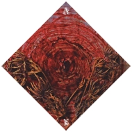 AINSOPH Affection & Vengeance [CD]